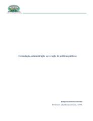 Formulação administração e execução de políticas públicas.pdf