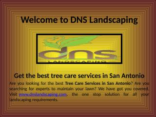 Drainage Solutions San Antonio - Dnslandscaping.com.pptx