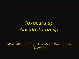 TOXOCARA SP. ANCYLOSTOMA SP..pptx