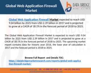 Global Web Application Firewall Market.pptx
